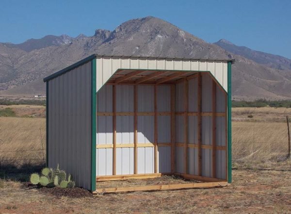 Alamo Run in Shed – Emerson Sheds